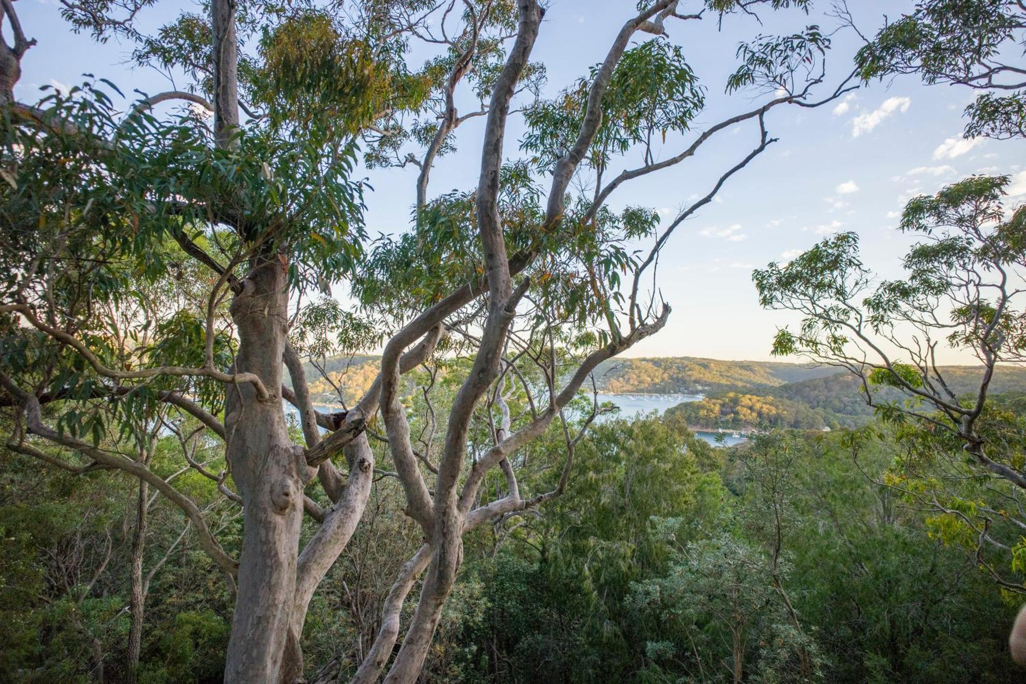 Yha Pittwater Eco, Sydney Hostel Church Point Exterior photo
